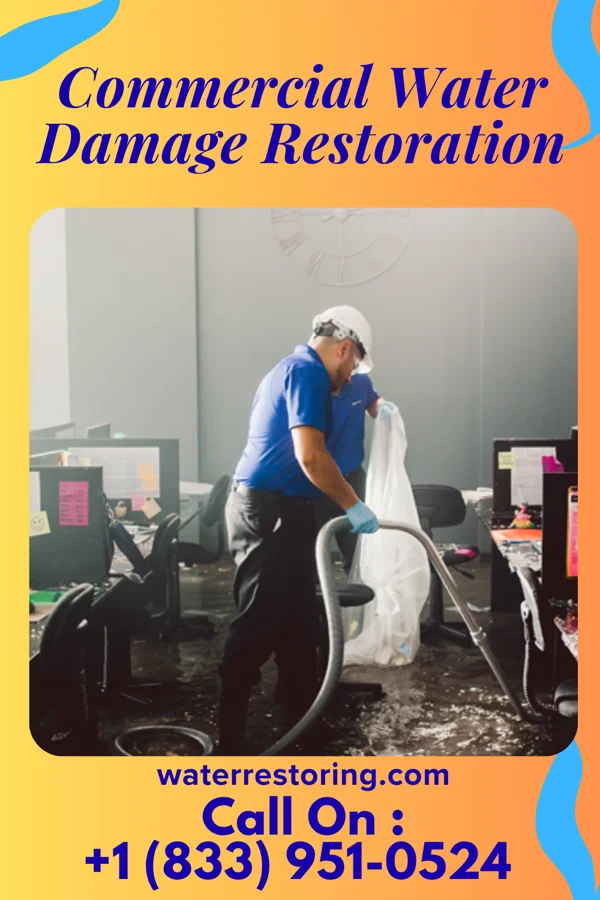 Commercial Water Damage Restoration in Lake Kiowa, TX