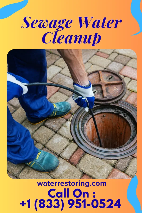 Sewage Water Cleanup in Lake Kiowa, TX